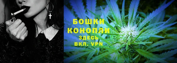 PSILOCYBIN Балабаново