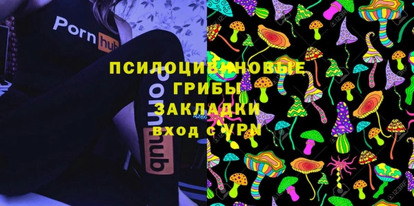 PSILOCYBIN Балабаново