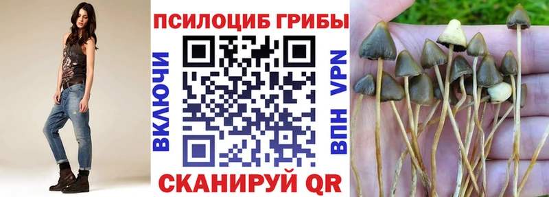 блэк спрут маркетплейс  Тутаев  Псилоцибиновые грибы прущие грибы 