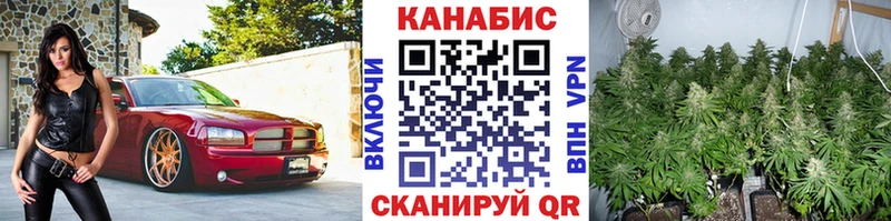 Канабис SATIVA & INDICA  Тутаев 